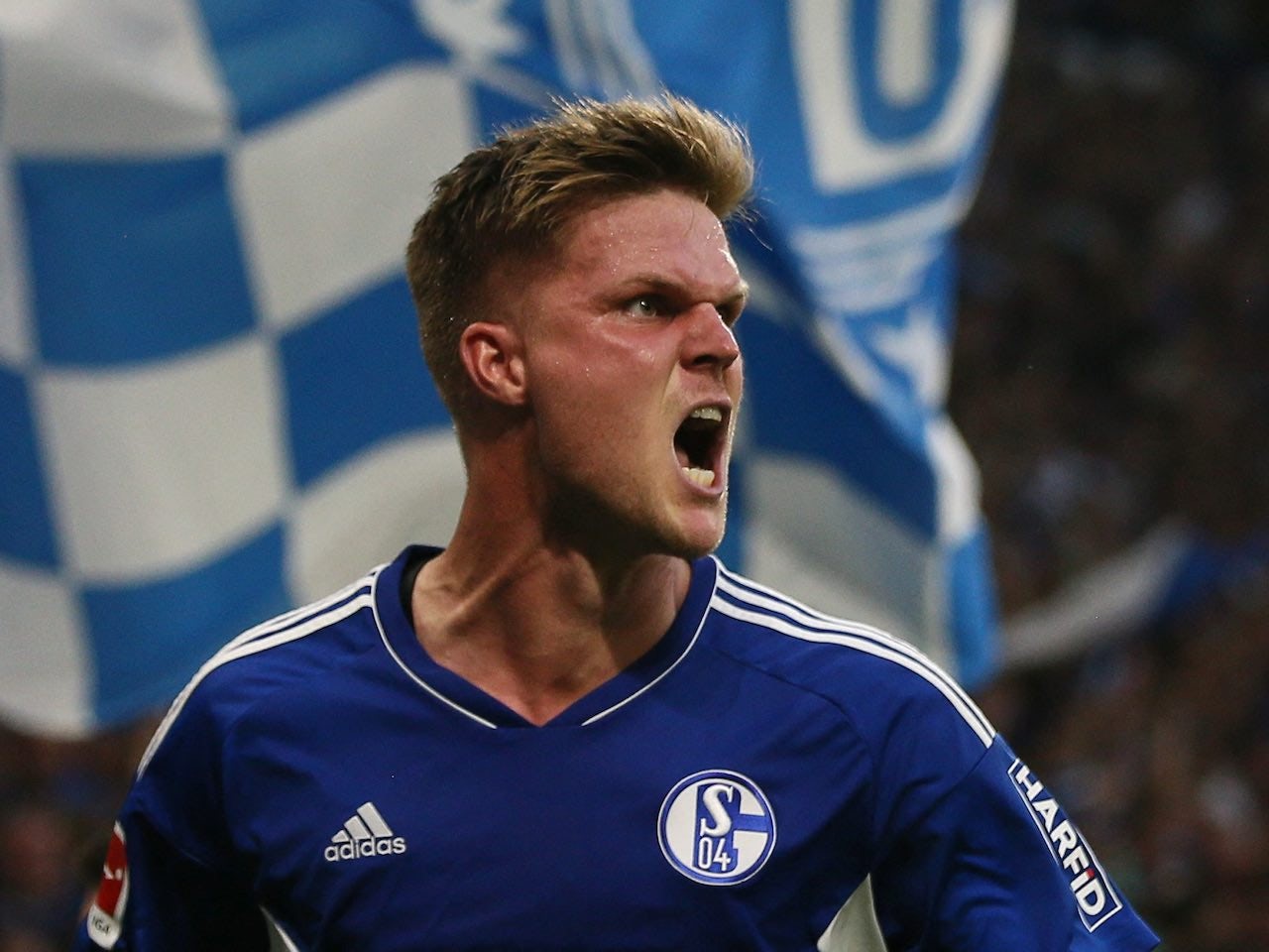 Schalke 04 vs Hertha Berlin