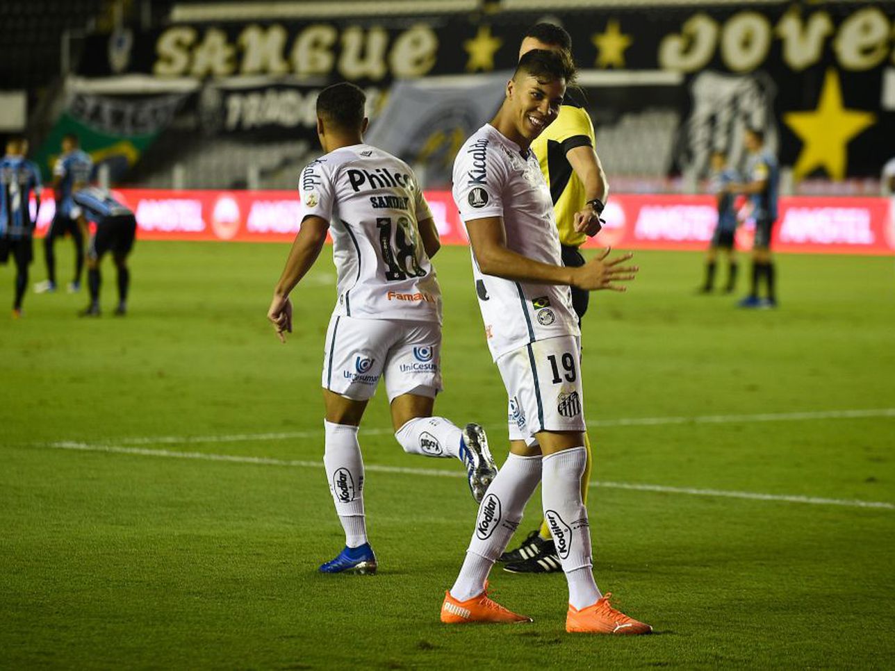 Santos vs. Audax Italiano