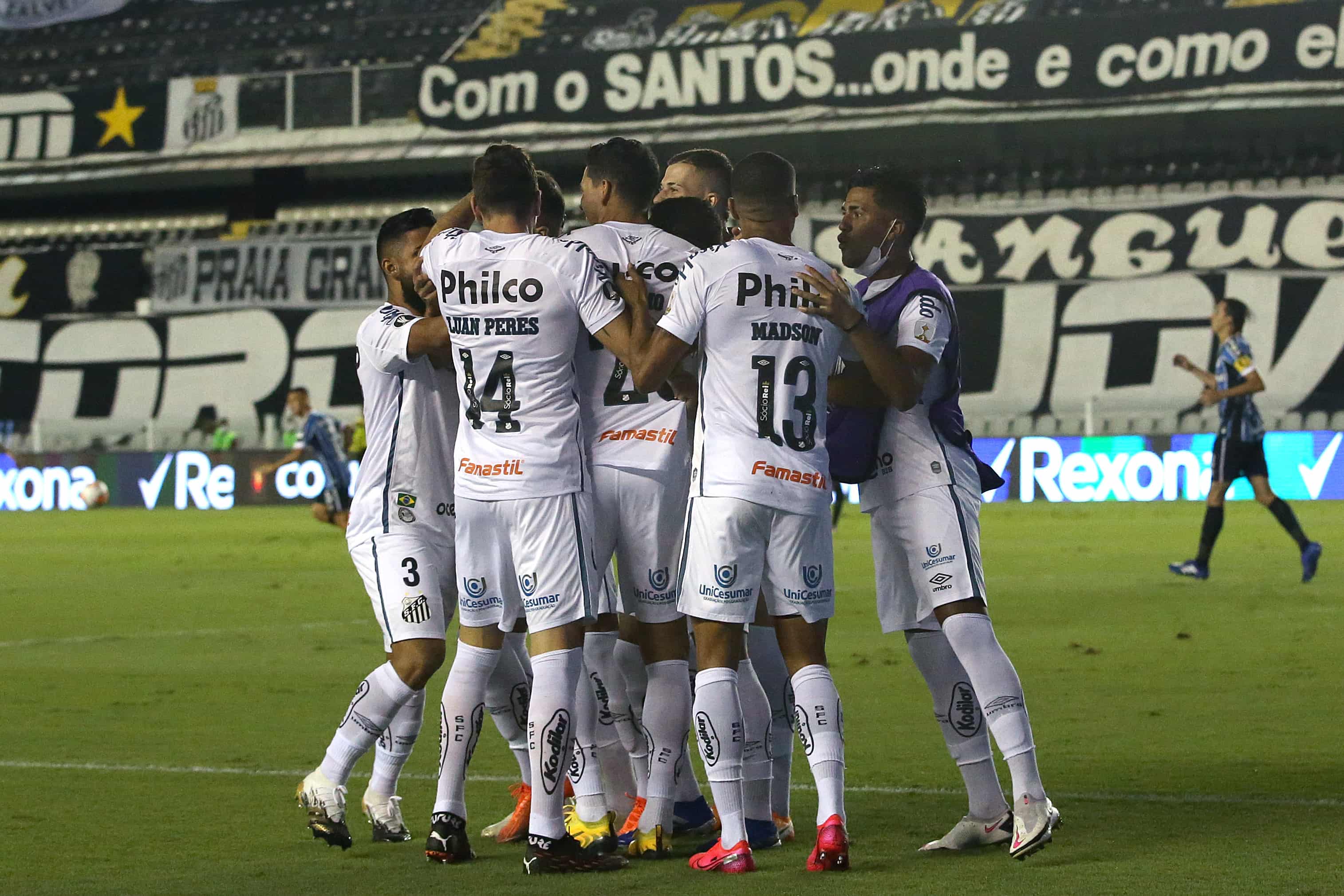 Santos vs. Audax Italiano