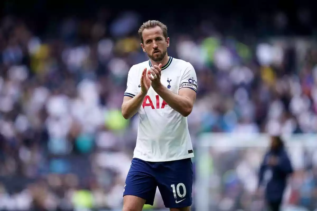 Kane Pochettino