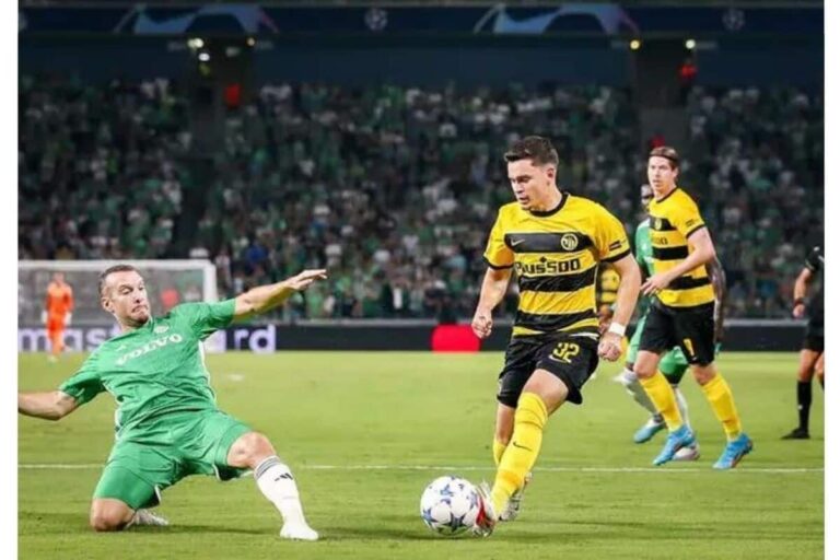 Young Boys prono