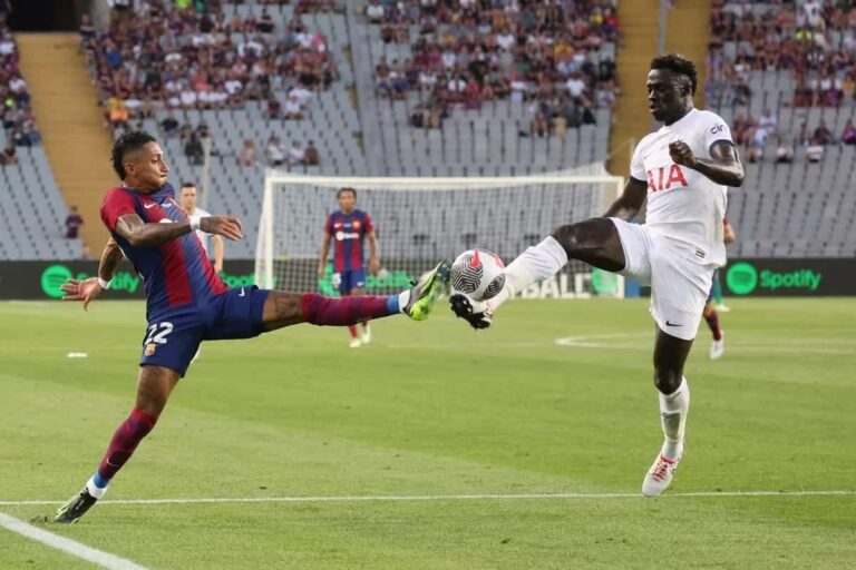 Davinson Sanchez sauvé
