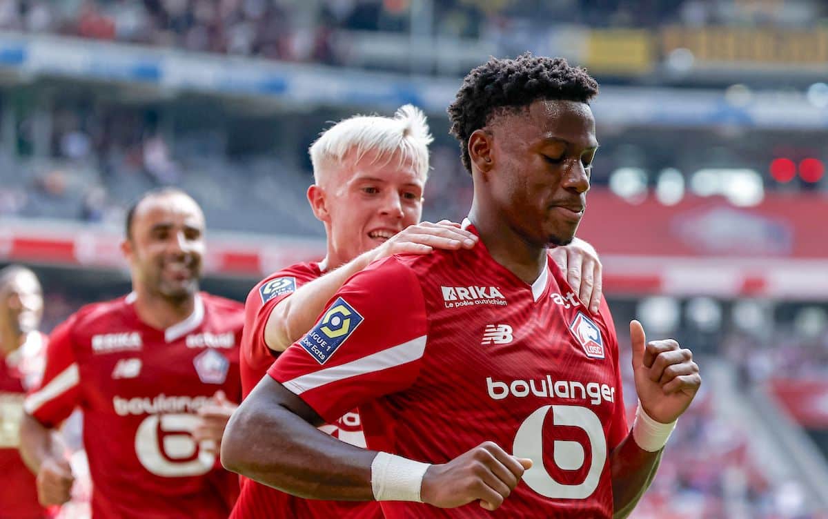 Lille David Jonathan
