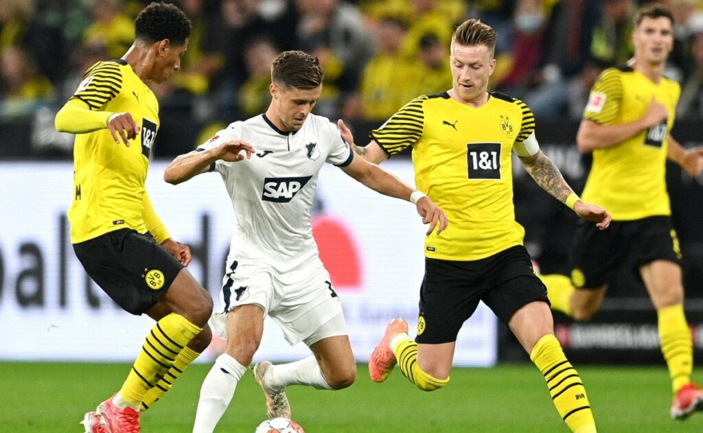 Hoff Dortmund Compos