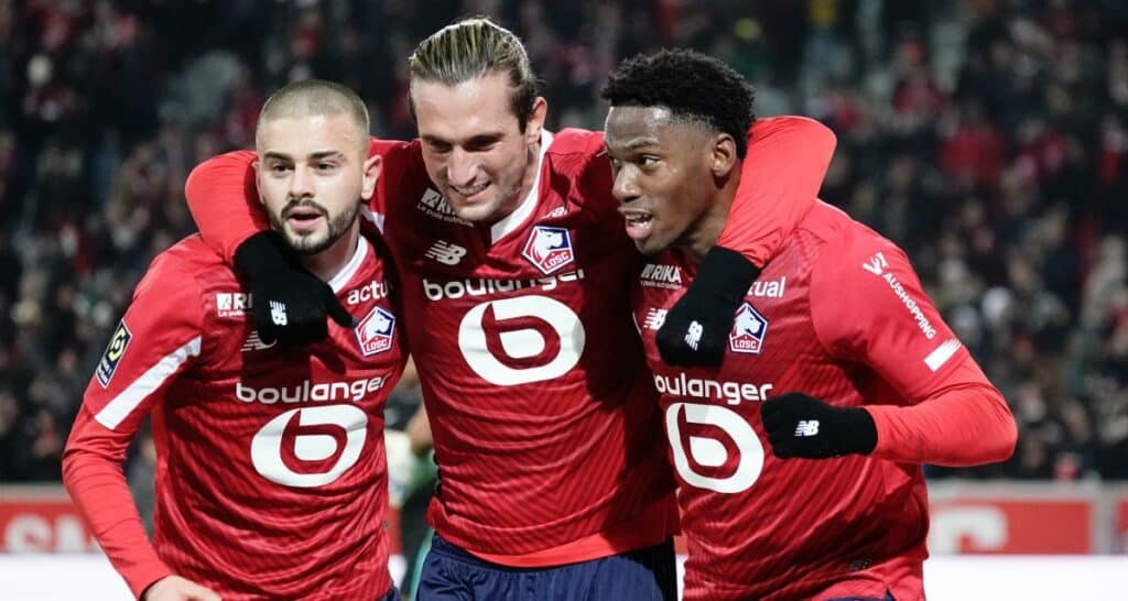 losc Golden Lion
