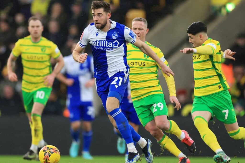 Bristol Norwich pronos